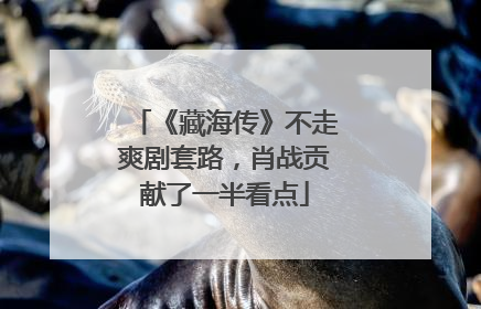 《藏海传》不走爽剧套路，肖战贡献了一半看点