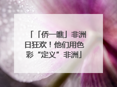 「侨一瞧」非洲日狂欢！他们用色彩“定义”非洲