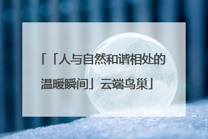 「人与自然和谐相处的温暖瞬间」云端鸟巢