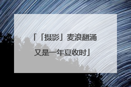 「摄影」麦浪翻涌 又是一年夏收时