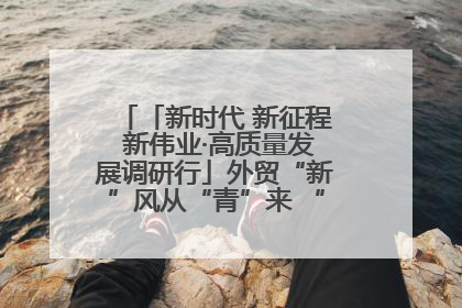 「新时代 新征程 新伟业·高质量发展调研行」外贸“新”风从“青”来 “双向奔赴”启新程
