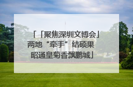 「聚焦深圳文博会」两地“牵手”结硕果 昭通皇菊香飘鹏城