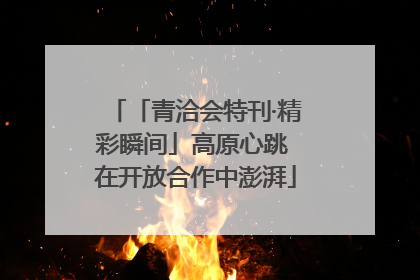 「青洽会特刊·精彩瞬间」高原心跳 在开放合作中澎湃