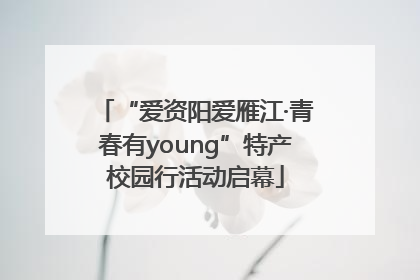 “爱资阳爱雁江·青春有young”特产校园行活动启幕