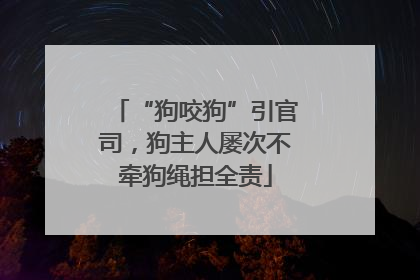 “狗咬狗”引官司，狗主人屡次不牵狗绳担全责