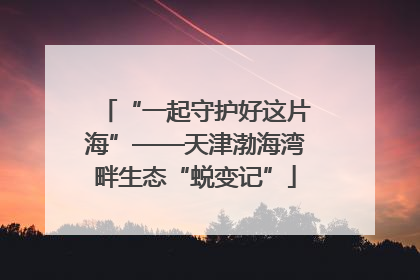“一起守护好这片海”——天津渤海湾畔生态“蜕变记”