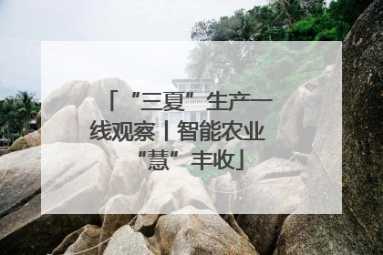 “三夏”生产一线观察丨智能农业“慧”丰收