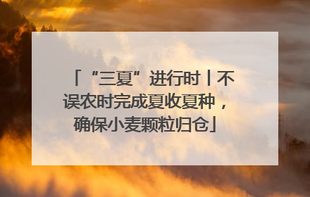 “三夏”进行时丨不误农时完成夏收夏种，确保小麦颗粒归仓