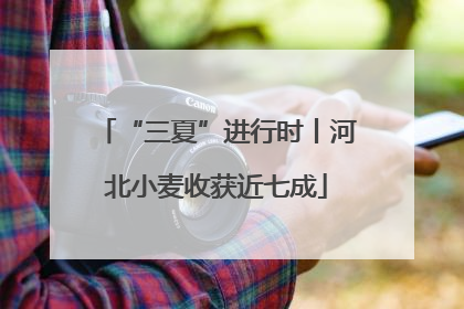 “三夏”进行时丨河北小麦收获近七成