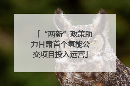 “两新”政策助力甘肃首个氢能公交项目投入运营