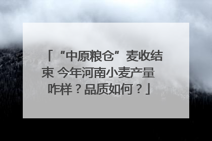 “中原粮仓”麦收结束 今年河南小麦产量咋样？品质如何？