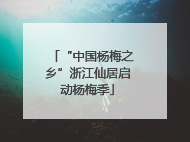 “中国杨梅之乡”浙江仙居启动杨梅季