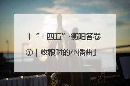 “十四五”·衡阳答卷③｜收粮时的小插曲