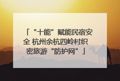 “十能”赋能民宿安全 杭州余杭四岭村织密旅游“防护网”