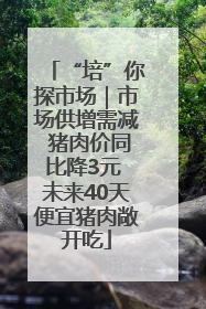 “培”你探市场｜市场供增需减 猪肉价同比降3元 未来40天便宜猪肉敞开吃