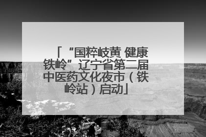 “国粹岐黄 健康铁岭”辽宁省第二届中医药文化夜市（铁岭站）启动