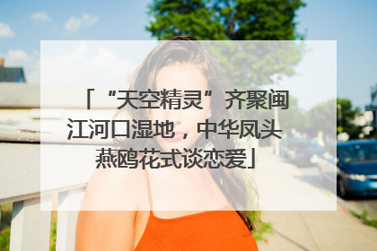 “天空精灵”齐聚闽江河口湿地，中华凤头燕鸥花式谈恋爱