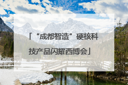 “成都智造”硬核科技产品闪耀西博会