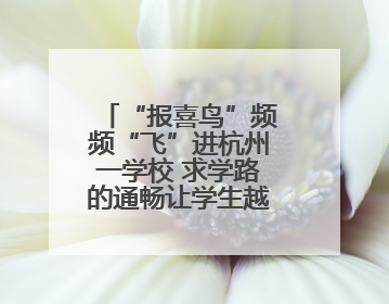 “报喜鸟”频频“飞”进杭州一学校 求学路的通畅让学生越来越自信