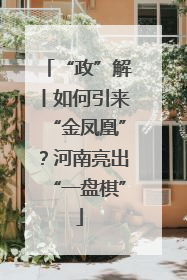“政”解丨如何引来“金凤凰”？河南亮出“一盘棋”