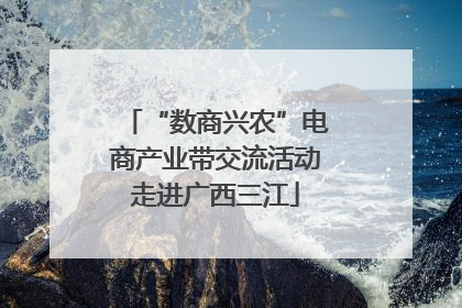 “数商兴农”电商产业带交流活动走进广西三江