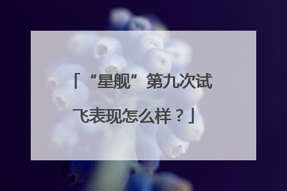 “星舰”第九次试飞表现怎么样？