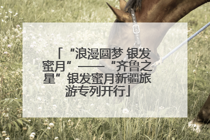 “浪漫圆梦 银发蜜月”——“齐鲁之星”银发蜜月新疆旅游专列开行