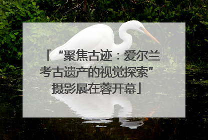 “聚焦古迹：爱尔兰考古遗产的视觉探索”摄影展在蓉开幕