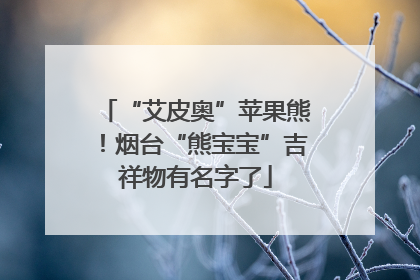 “艾皮奥”苹果熊！烟台“熊宝宝”吉祥物有名字了