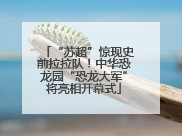 “苏超”惊现史前拉拉队！中华恐龙园“恐龙大军”将亮相开幕式