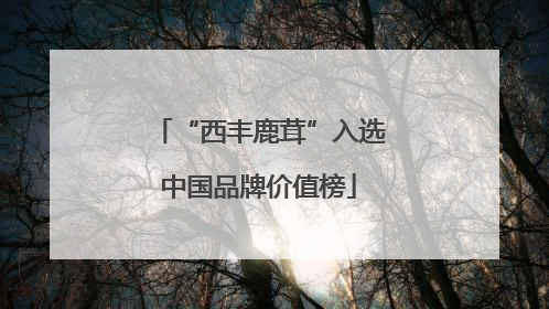 “西丰鹿茸”入选中国品牌价值榜