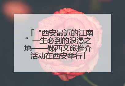 “西安最近的江南”一生必到的浪漫之地——郧西文旅推介活动在西安举行