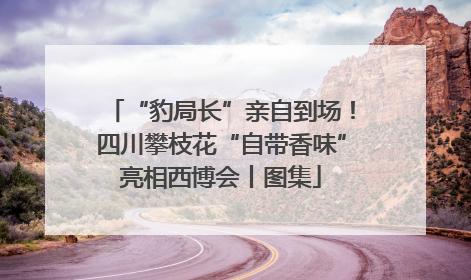 “豹局长”亲自到场！四川攀枝花“自带香味”亮相西博会丨图集