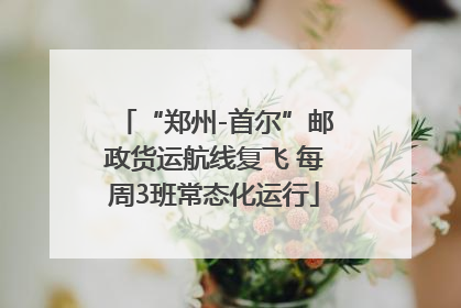 “郑州-首尔”邮政货运航线复飞 每周3班常态化运行