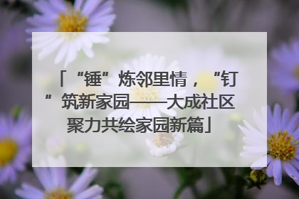“锤”炼邻里情，“钉”筑新家园——大成社区聚力共绘家园新篇