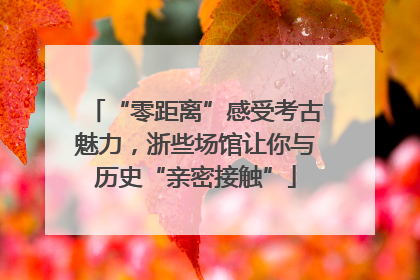 “零距离”感受考古魅力，浙些场馆让你与历史“亲密接触”