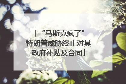 “马斯克疯了” 特朗普威胁终止对其政府补贴及合同