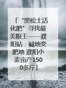 “黑松土活化肥”寻找最美粮王——濮阳站：碱地变肥地 濮阳小麦亩产1500多斤
