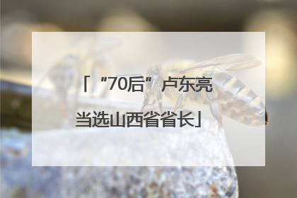 “70后”卢东亮当选山西省省长