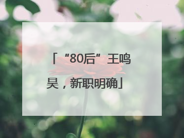 “80后”王鸣昊，新职明确