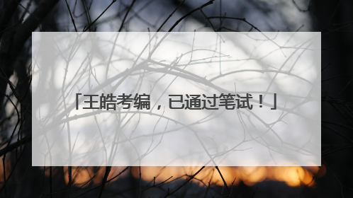 王皓考编，已通过笔试！