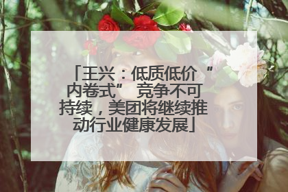 王兴：低质低价“内卷式” 竞争不可持续，美团将继续推动行业健康发展