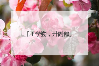王学勤，升副部