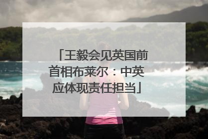 王毅会见英国前首相布莱尔：中英应体现责任担当