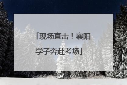 现场直击！襄阳学子奔赴考场