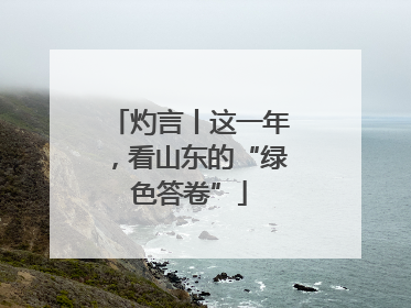 灼言丨这一年，看山东的“绿色答卷”