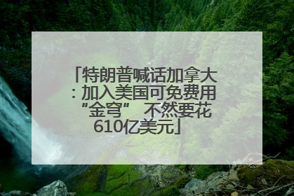 特朗普喊话加拿大：加入美国可免费用“金穹” 不然要花610亿美元