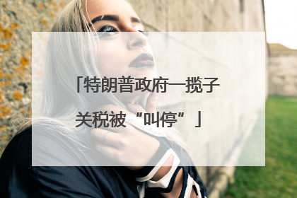 特朗普政府一揽子关税被“叫停”