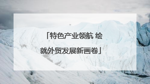 特色产业领航 绘就外贸发展新画卷