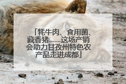 牦牛肉、食用菌、藏香猪……这场产销会助力甘孜州特色农产品走进成都